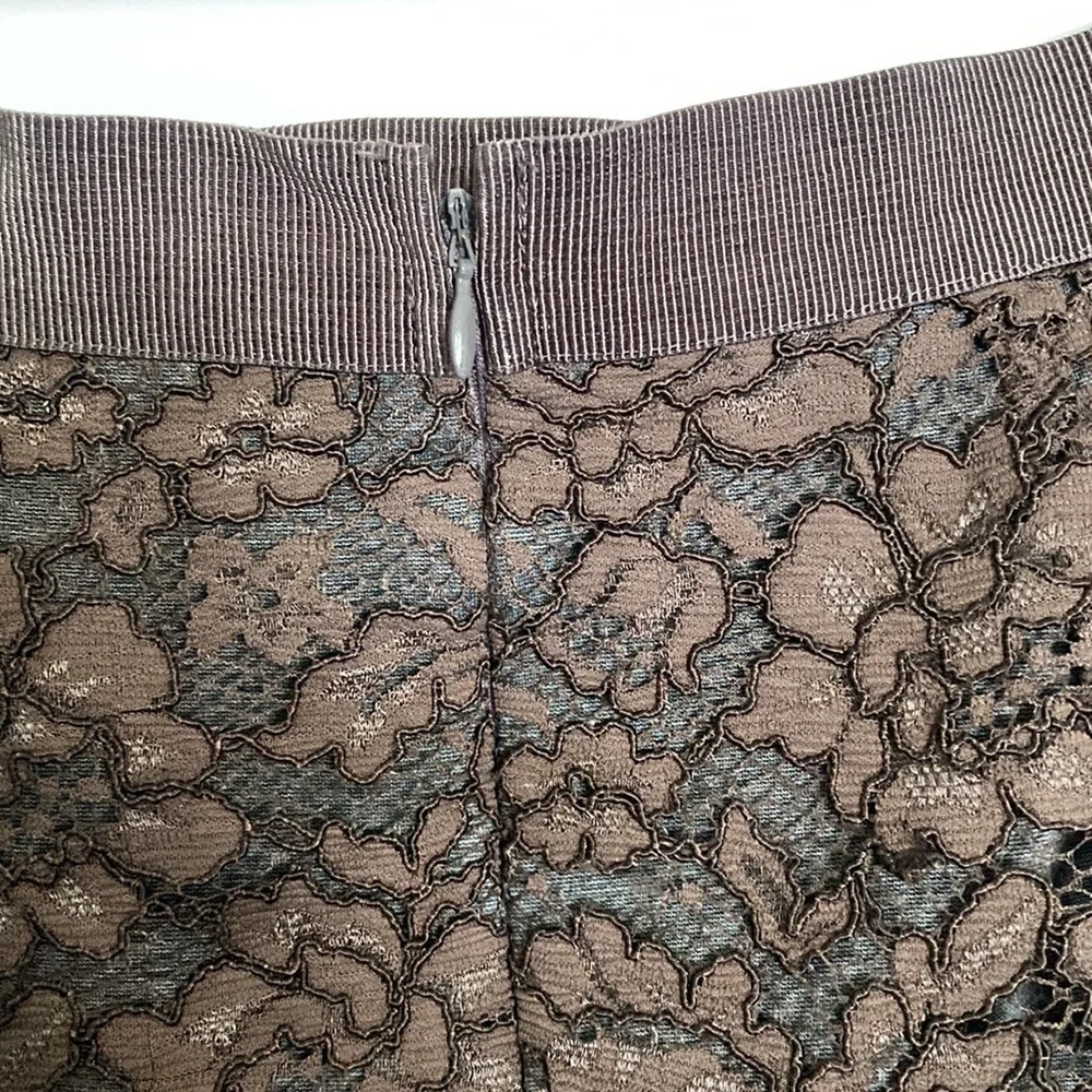 Ann Taylor loft lace skirt size 10